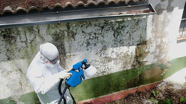 Top rated local Mold Remediation specialists in Gasburg, VA